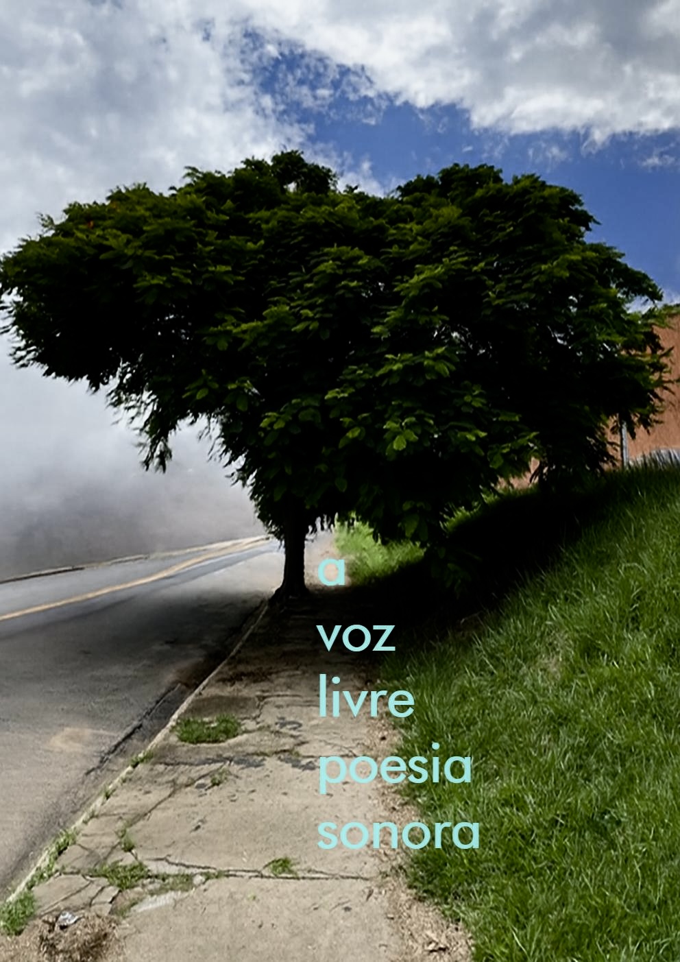 A voz livre poesia sonora